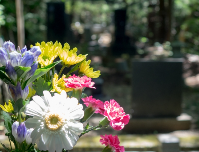 三重県で墓のリフォームを検討する40代男性へ。格安で実現する改葬の魅力と手続きのポイント！